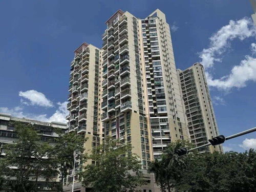 深圳某小区豪华建筑揭秘
