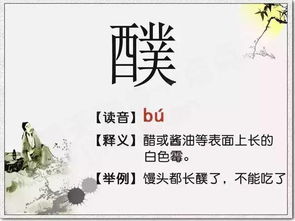 中科院一个呵字，是对伪科学最犀利的审判