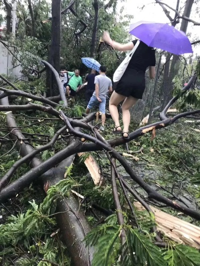 台风肆虐，惊魂与温暖交织