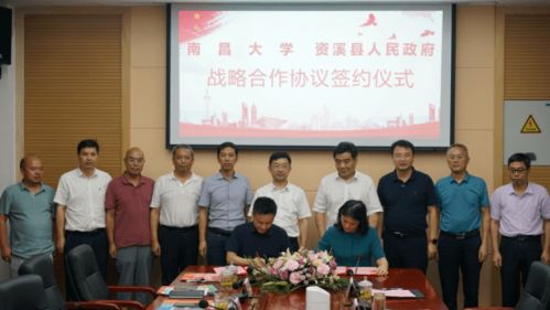 山东人事厅，深化改革引领人才发展新篇章