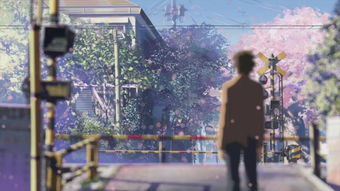 园子温，樱花与血泊交织的异色美学宇宙
