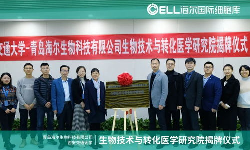 西安交通大学青岛研究院，校地合作与创新发展的新标杆