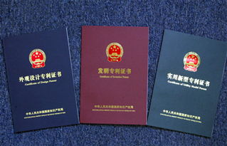 实用专利申请的探索与实践指南