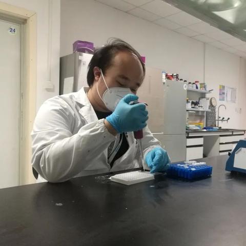 仙桃教科研网，数字时代的教育革新引擎