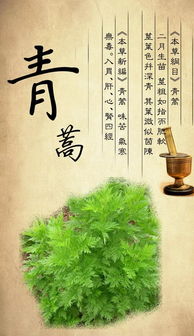 屠呦呦，一株青蒿背后的孤勇与颠覆