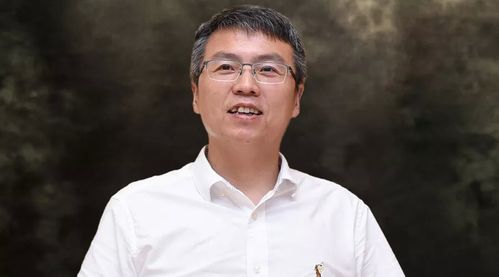 昔日最强经开区掌舵者吴宏被查背后的深思