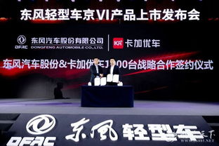 惠普金牌服务，卓越品质与贴心关怀的完美融合