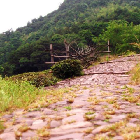 安徽高考2013，青春记忆与挑战的交织