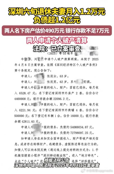 深圳退休夫妇巨额债务事件揭秘，专家深度解读背后的原因与影响