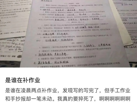 大暴雨与高温下的紧急补作业行动