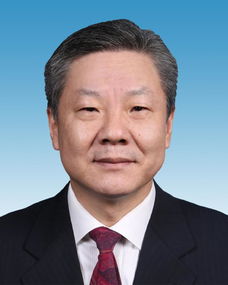 陈金山辞去重庆市副市长职务引发的人事变动思考