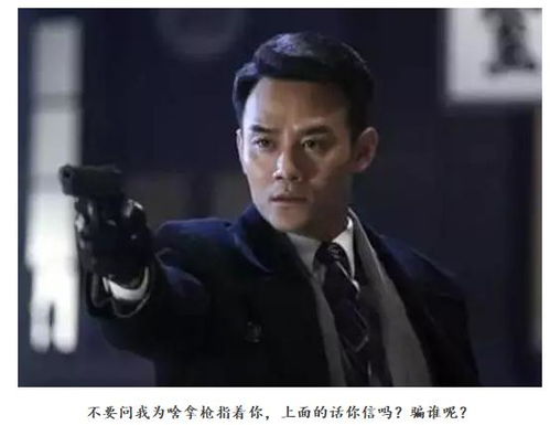 明星光环下的阴影，何炅父亲违法事件引发的法律与道德思考