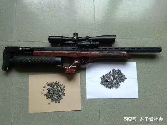 铅弹气枪，独特射击体验的魅力所在