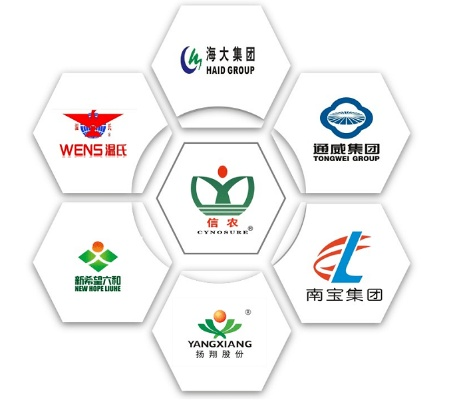 专业商标代理公司助力品牌发展之路