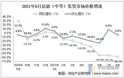 206不锈钢一吨价格走势及市场行情分析