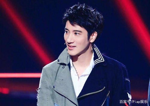 王力宏处罚结果公布，法律裁决与道德争议的双重审视