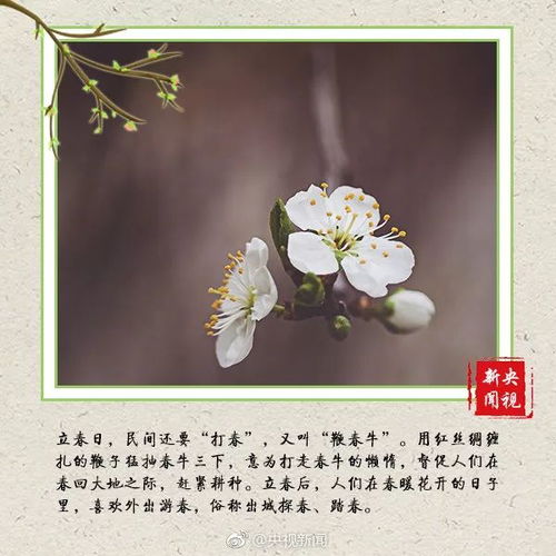 咬春，立春时节的传统习俗与深厚文化内涵