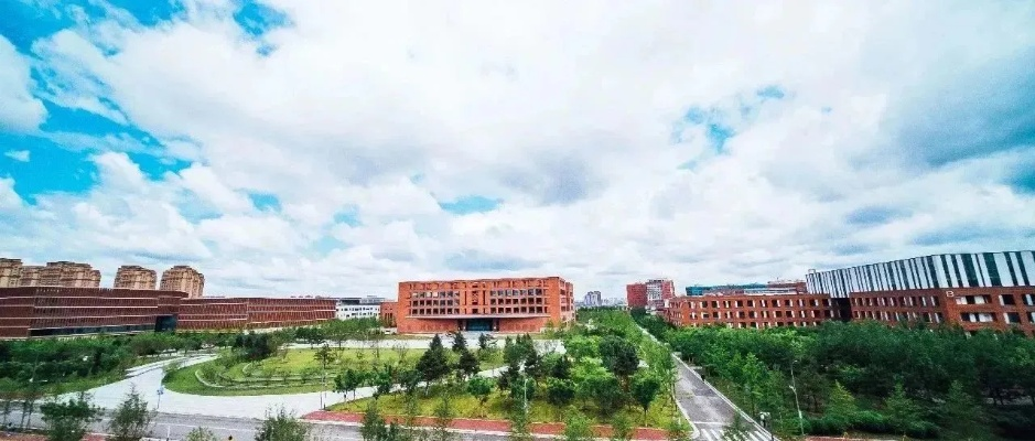 东北大学BT，科技前沿与教育创新的交汇点