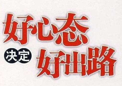 1米直径水泥管每米价格及影响因素全面解析