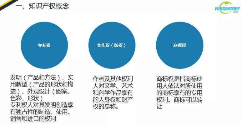 2025年8月 第5页