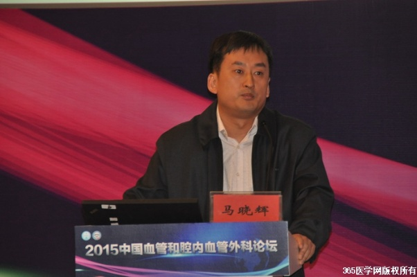 马晓辉，浙江大地的创新先锋与时代担当