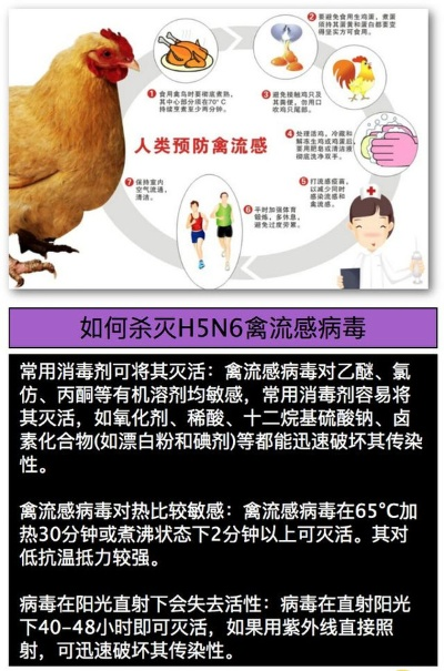 禽流感来袭，疫情动态与防控全知晓