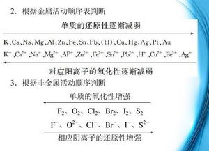 探索金属活动性顺序表中钡的位置