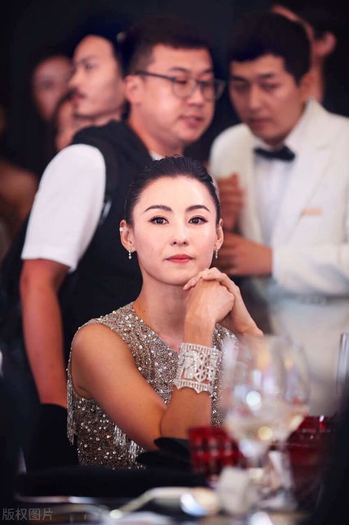 霍尊父亲回应儿子新恋情，引发的风波与深度思考