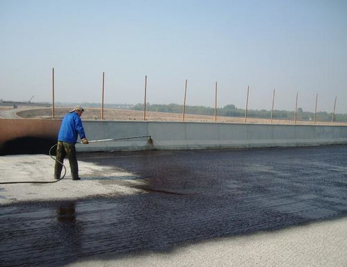 5厚聚合物水泥防水涂料，构筑建筑防水的坚实屏障