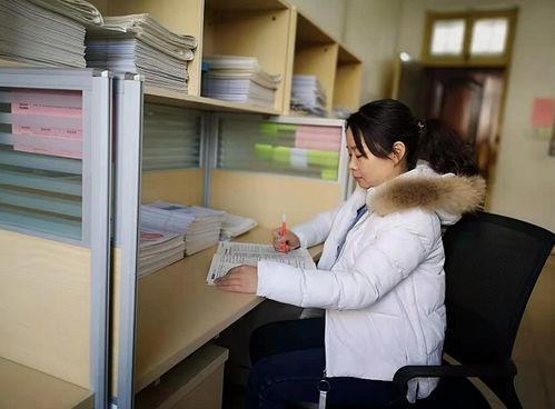 招标师考试网，助力专业招标师成长与考试通关
