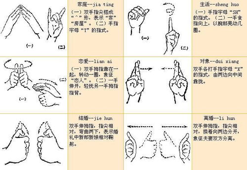 刘芳秀，在手语花园里种下无声世界的绚烂