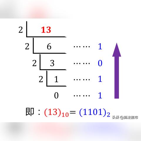 从二进制到文化象征，数字1101的跨界之旅