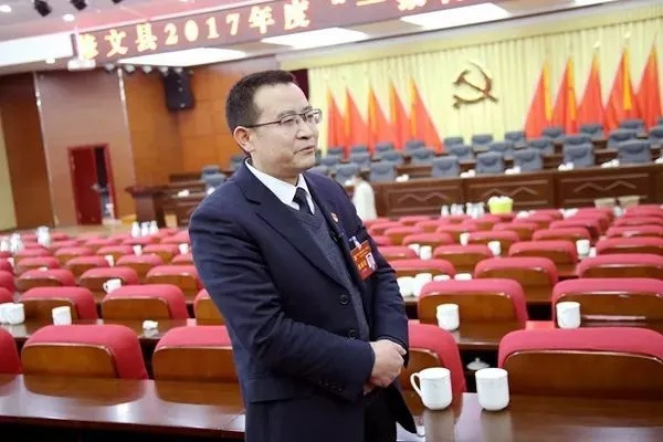 柔韧之姿，铸时代序章，王文序的奋进之路