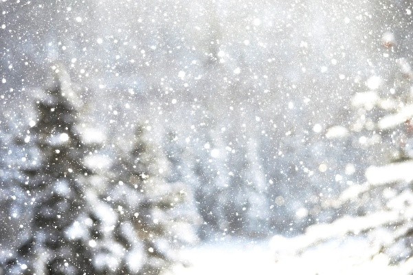河南遭遇鹅毛大雪漫天飞舞