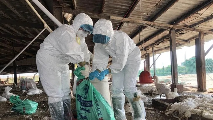 绍兴禽流感疫情，现状、防控与公共卫生启示