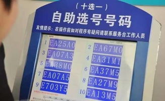 广州核发首张电鸡专用号牌，绿色出行新里程碑