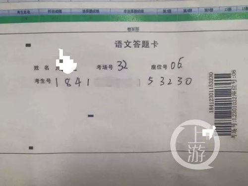 高考成绩查询入口，十年寒窗，一键见分晓