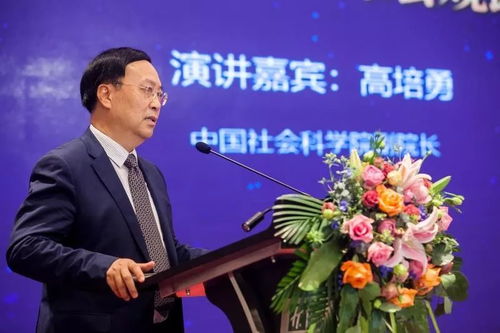 陈应，时代浪潮中的一颗凡心