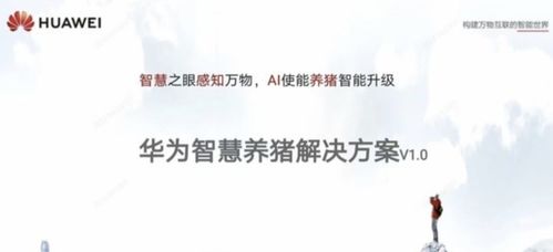 华为任正非，以活下来为纲领，逆境中的战略智慧与生存法则