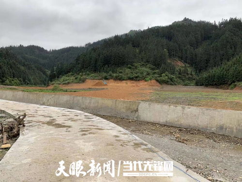李记泽，科技管理与创新发展的深耕者