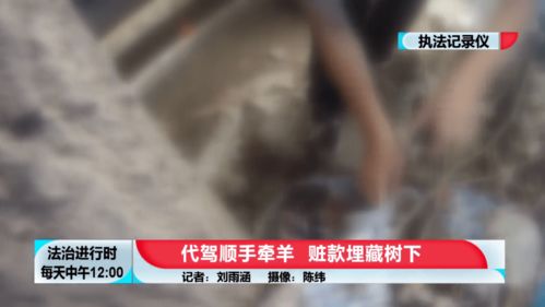 从村干部找陪唱女事件看作风建设的重要性与反思