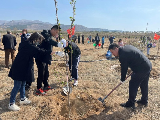 绿色梦想引领家乡植树热潮，吃沙小伙与四万群众共筑绿色长城之梦