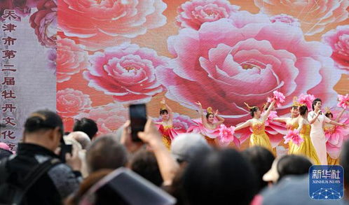 上合天津峰会巨幅壁画惊艳亮相，文化魅力闪耀全场
