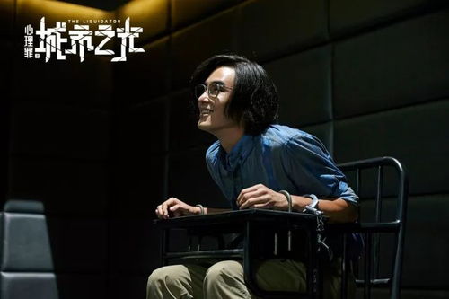 肖艳琴事件，舆论正义背后的真相迷思