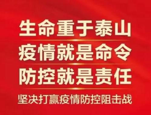 疫情15天波及16省份，快速扩散的挑战与应对策略