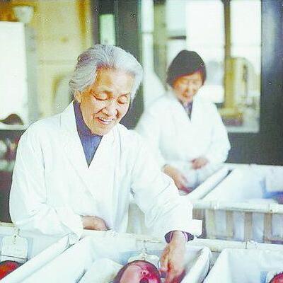 生命起点的无声退场，妇产科寒冬下的生育变局