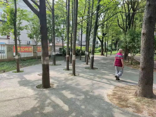 医用废水处理，守护环境与健康的隐形防线