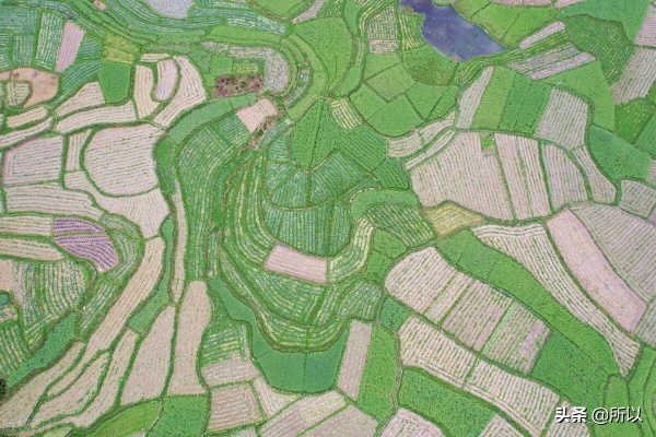 卫星视角下的祖国大地春耕图，广袤田野上的希望与生机