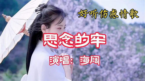 思念的旋律，无尽怀念，心系你情