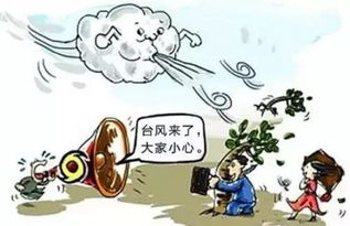 20号台风，大自然的咆哮与人类的应对之策